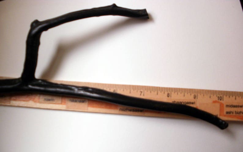 May include: A black twig with a slight curve, measuring approximately 9 inches long, is placed on top of a wooden ruler.