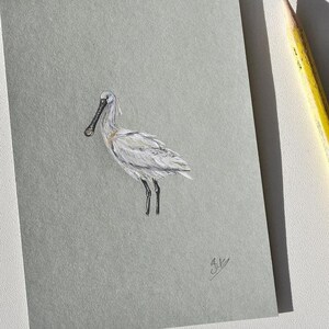 Peinture originale oiseau spatule blanche