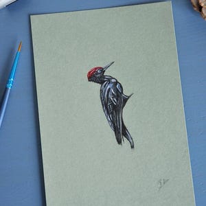 Peinture originale oiseau pic noir