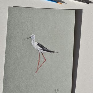 Peinture originale oiseau échasse blanche
