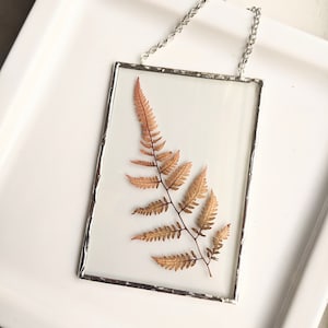 Fern Wall Art, Framed Pressed Flowers, Fern Glass Wall Hanging, Flower Art, Dried Flower Art, Soldered Glass Wall Art