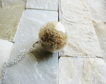Natural Lichen Necklace, Specimen In Glass Globe, Nature Necklace, Eco Friendly, Garden Gift, Terrarium Botanical, Natural Reindeer Moss