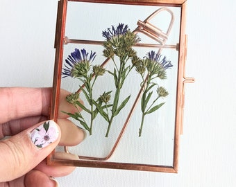 Bezel Glass Pressed Flower Art, Aster Framed Flower Art, Pressed Flowers, Tabletop Art, Dried Leaf Art, Nature Decor, Framed Glass Art