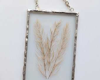 Yellow Fern Wall Art, Framed Dried Pressed Flowers, Glass Wall Hanging, Flower Art, Dried Flower Art, Soldered Glass Wall Art