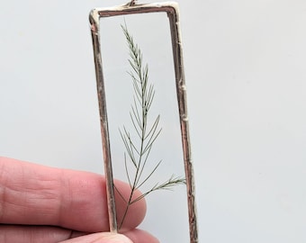 Framed Asparagus Fern Leaf Ornament, Christmas Tree Ornament, Pressed Flowers Ornament, Dried Flower Art, Soldered Glass Wall Art