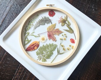 Framed Flowers Wall Art, Assorted Flowers, Hoop Art Decor, Botanical Gifts, Floral Arts, White Flowers, Nature Lovers Gift