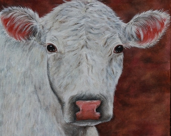 White Cow Portrait, Original Oil Painting, 20x 20, Farm Animal, Charolais, Bovine, Cattle, Calf, Country Living, Farm Life, Helen Eaton