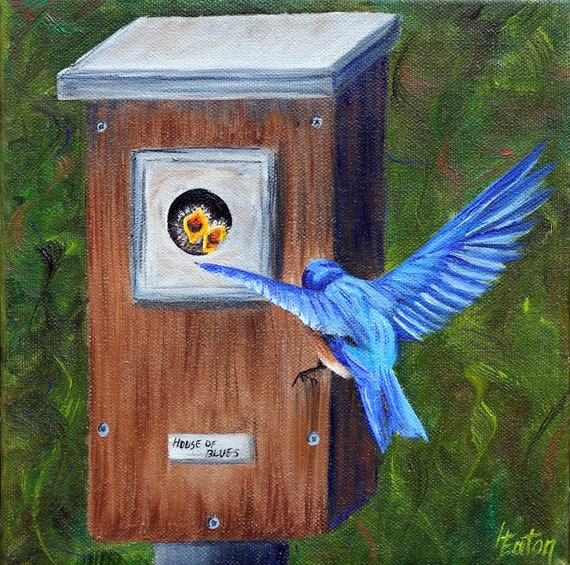 Bluebird House