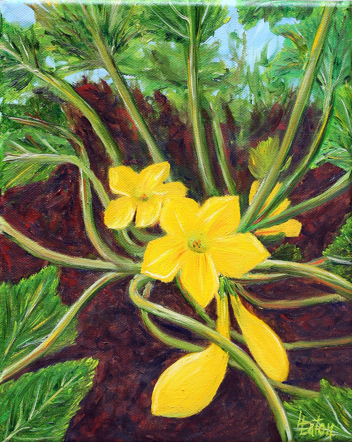 Squash Blossom Original Oil Painting 8x10 Summer Squash Etsy