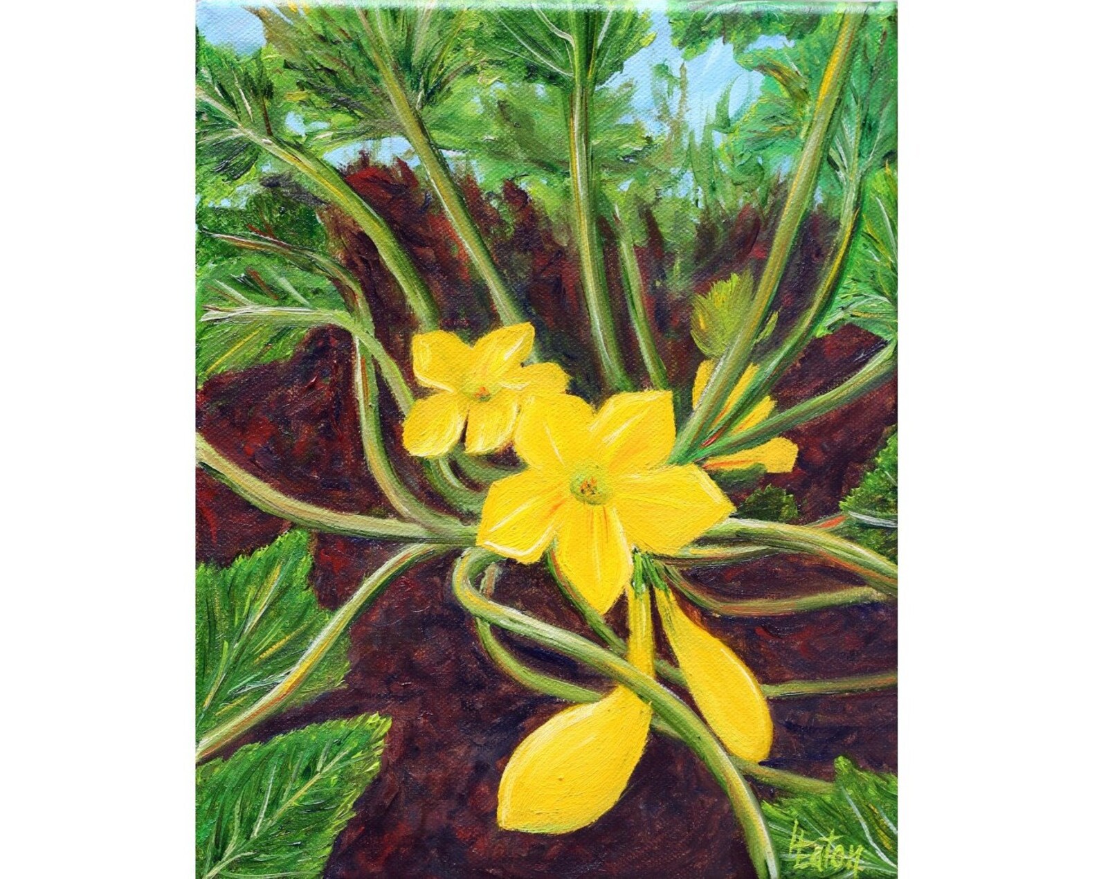 Squash Blossom Original Oil Painting 8x10 Summer Squash Etsy