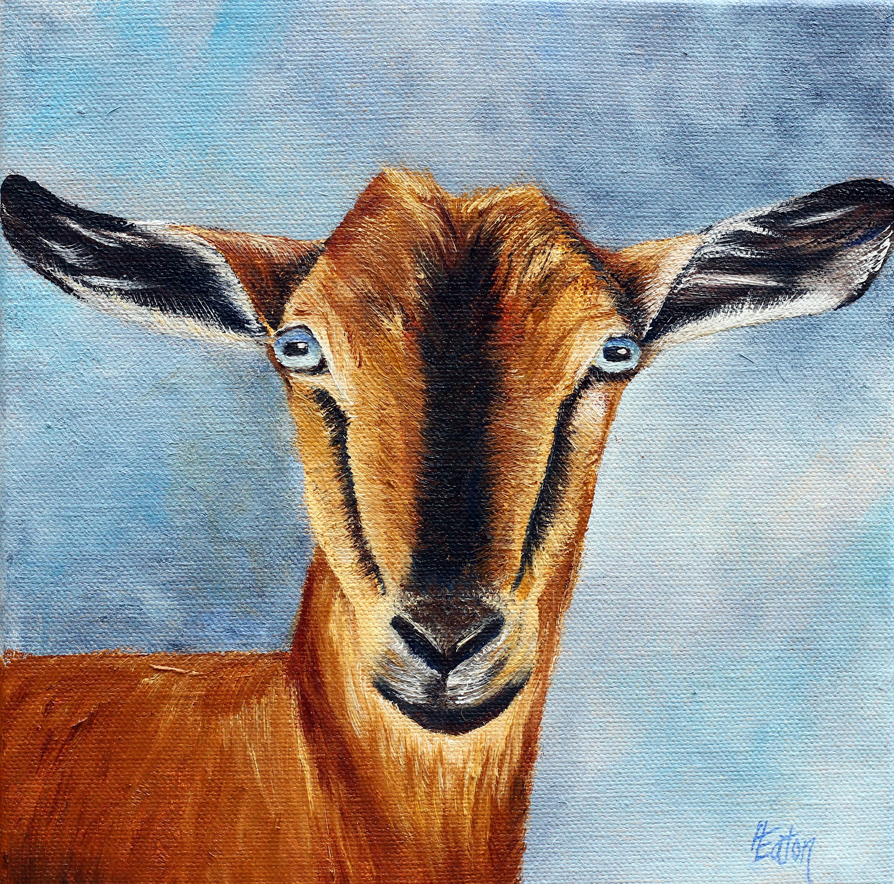 Pretty Goat Painting Nanny Goat 8x8 Farm Animal Blue Eyes - Etsy Denmark Pretty Goat Painting Nanny Goat 8x8 Farm Animal Blue Eyes - Etsy Denmark
