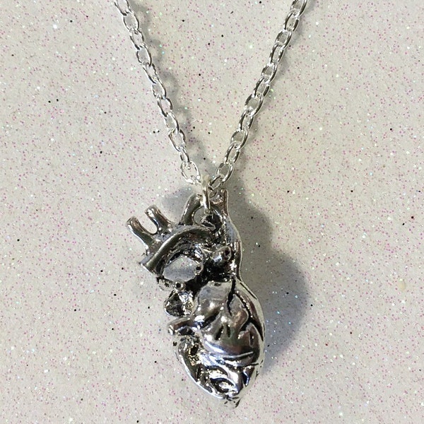 Anatomical Heart Necklace Silver Anatomical Heart 3D Charm Heart Gothic Necklace Medical Student Gift Love Biology