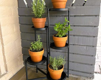 May include: A black metal plant stand with five terracotta pots, each holding a different herb. The stand has a tiered design, with the pots arranged at varying heights. The herbs include rosemary, basil, mint, and thyme.