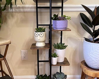 May include: A multi-tiered plant stand with black metal frame and wooden shelves. The stand displays various potted succulents in white, pink, purple, and gray pots. A small figurine and an orchid are also on display.