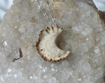 Crescent Moon Deer Antler Burr Jewelry Pendant