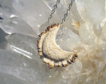 Crescent Moon Deer Antler Burr Jewelry Pendant