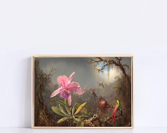 Stampa di orchidea colibrì / Martin Johnson Heade, Dark Academia Wall Art (download digitale)