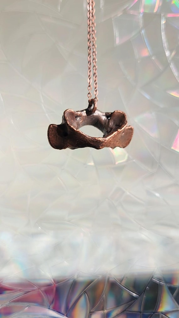 A real raccoon atlas vertebra encased in electroformed copper — wearable taxidermy-meets-alchemy jewelry that's genuinely unlike anything in a chain store.