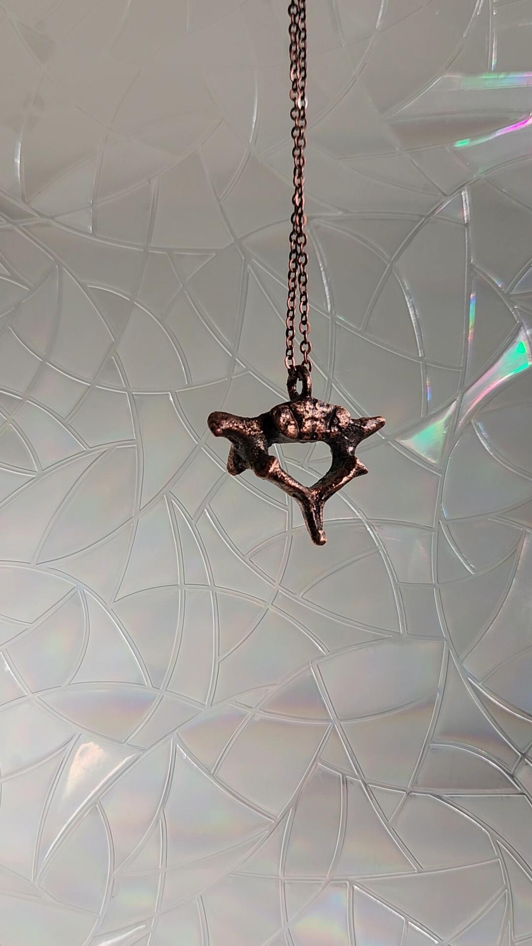 Copper Racoon Copper Electroformed Raccoon Thoracic Vertebra Necklace - Etsy