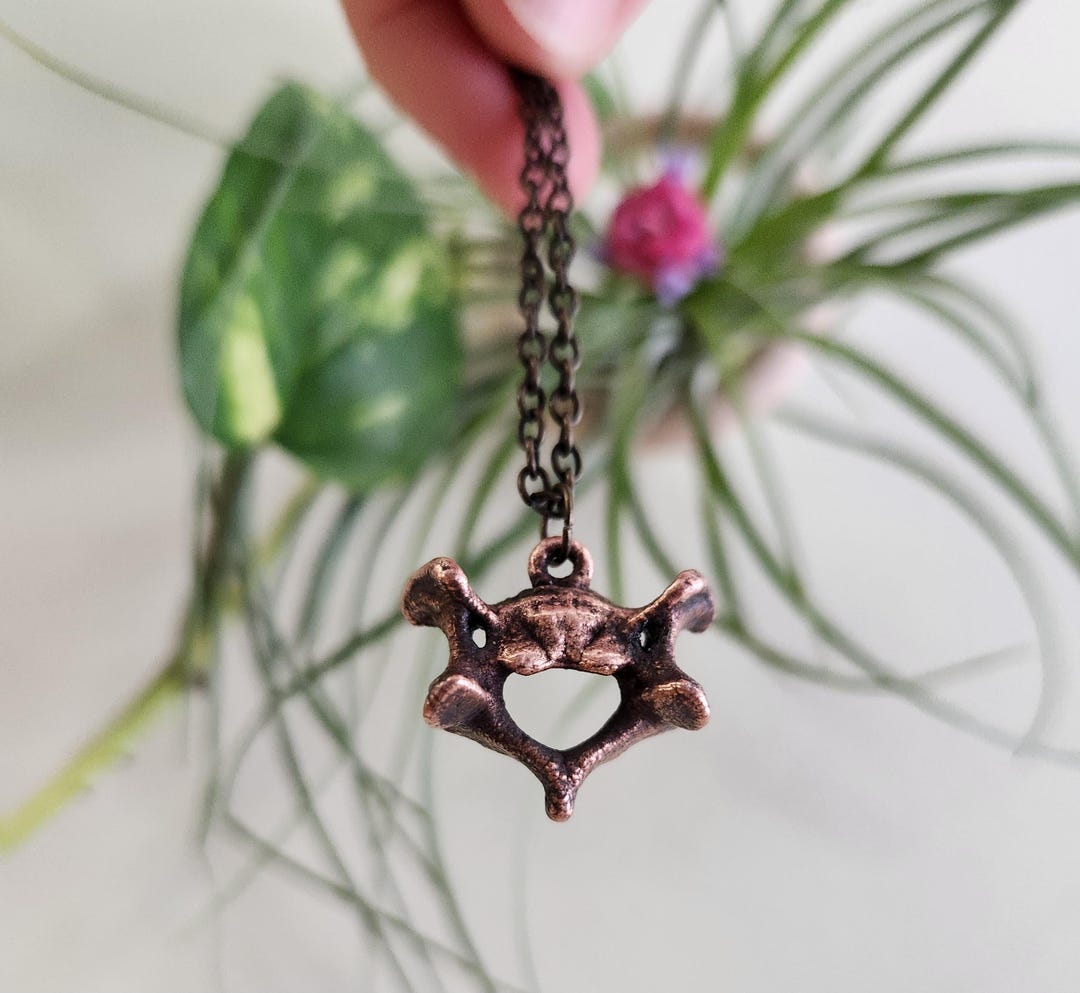 Copper Racoon Copper Electroformed Raccoon Cervical Vertebra Necklace - Etsy