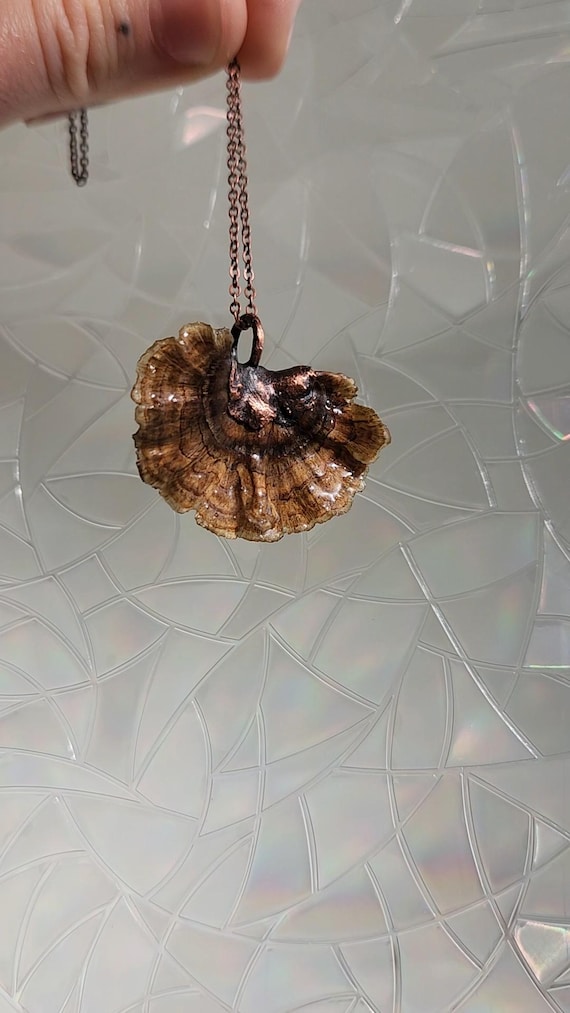 A real mushroom (turkey tail fungus) encased in copper through electroforming — wearable nature-meets-alchemy that you genuinely cannot buy at a mall.