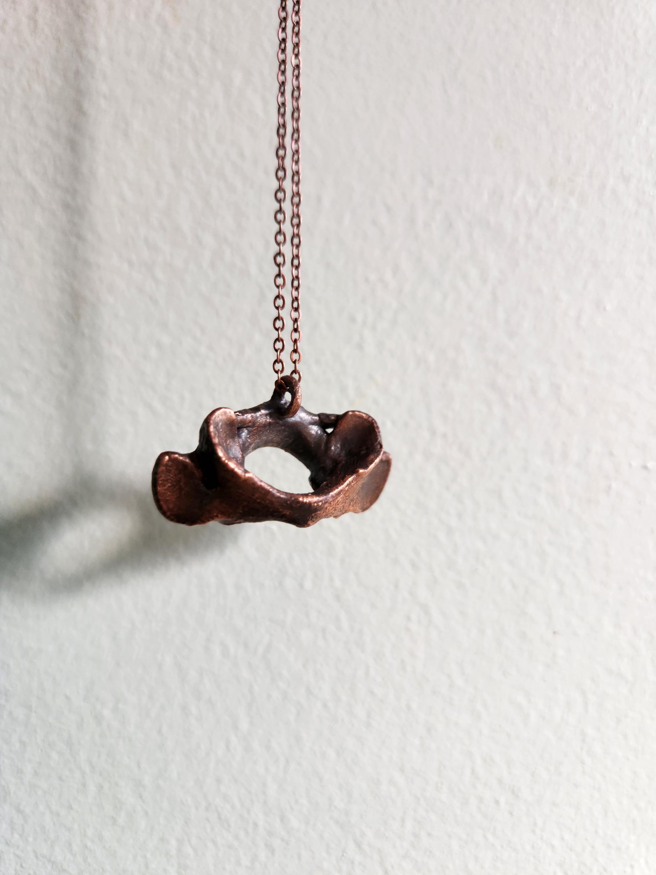 Copper Racoon Copper Electroformed Raccoon Atlas Vertebra Necklace - Etsy