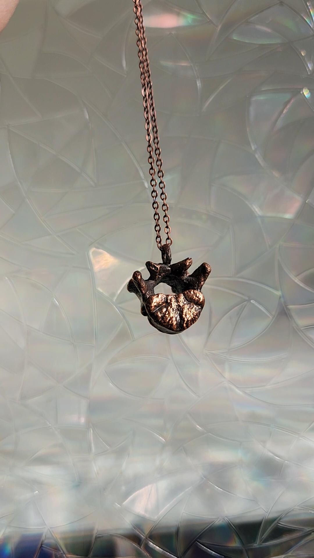 Copper Racoon Copper Electroformed Raccoon Thoracic Vertebra Necklace - Etsy