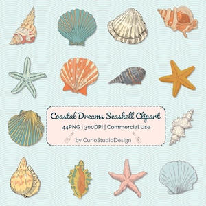 Concha de pescador, estrella de mar, PNG / Elementos del océano en color agua, clipart para sublimación y manualidades / Descarga instantánea