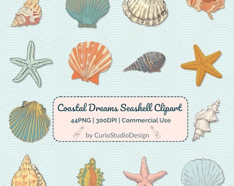 Clipart de estrellas de mar: PNG de acuarela del océano, descarga digital