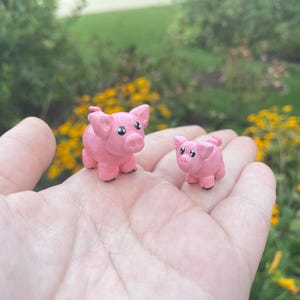 Piggies
