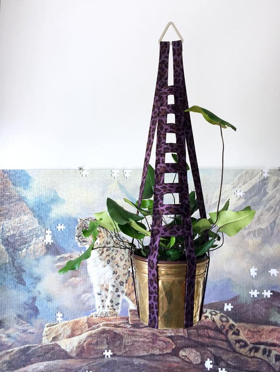 indoor plant growing kits Grow an Indoor Jungle Houseplant Seed Kit Beginner