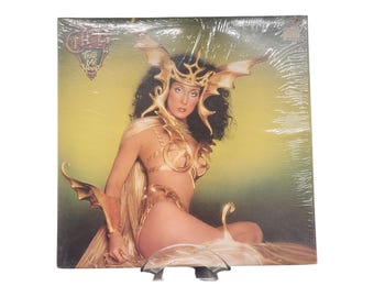 Cher, Take Me Home (1979), Vinyl Record, Vintage