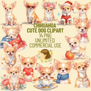 Chihuahua Dog Watercolor Clipart Bundle | Cute Puppy PNG for Sublimation, Stickers, Cards & Crafts | Transparent Background