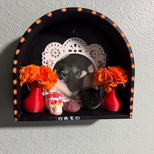 Personalized Pet Memorial Ofrenda, Day Of The Dead Altar, Pet Shadow Box (DIY Kit)