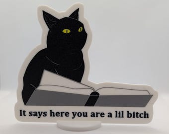 Judgemental Cat "It Says Here You Are A Lil Bitch" Wall Art - Funny 3D Printed Wall Art Decoration Household Bar Desk Meme Sign Halloween