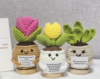 Handmade Crochet Succulent & Daisy: Emotional Support Plant,Christmas Day Gift
