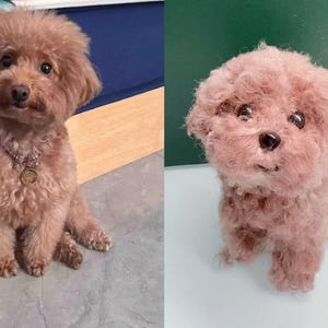 Personalized Crochet Dog - Look-Alike Stuffed Animal & Pet Memorial Gift | Custom Dog Lover Keepsake, Heirloom Plush Replica