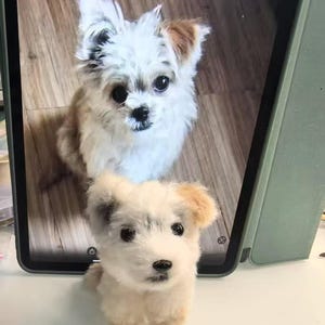 Personalized Crochet Dog - Look-Alike Stuffed Animal & Pet Memorial Gift | Custom Dog Lover Keepsake, Heirloom Plush Replica
