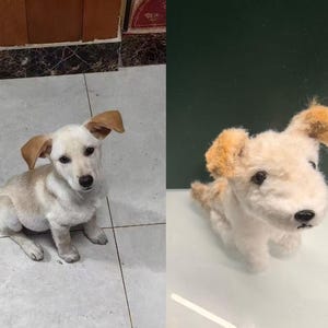 Personalized Crochet Dog - Look-Alike Stuffed Animal & Pet Memorial Gift | Custom Dog Lover Keepsake, Heirloom Plush Replica