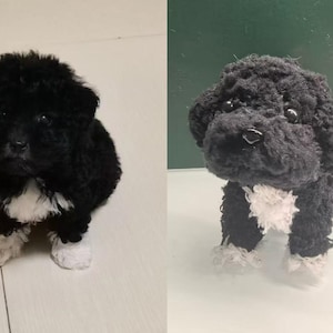Personalized Crochet Dog - Look-Alike Stuffed Animal & Pet Memorial Gift | Custom Dog Lover Keepsake, Heirloom Plush Replica