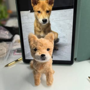 Personalized Crochet Dog - Look-Alike Stuffed Animal & Pet Memorial Gift | Custom Dog Lover Keepsake, Heirloom Plush Replica