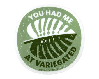 You Had Me At Variegated Sticker, Plant Sticker, Plant Lover Sticker, Clear Vinyl Sticker for Plant Lover, Plant Gift