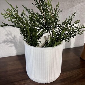 May include: A white ceramic planter with a ribbed texture, featuring a green leafy plant inside.