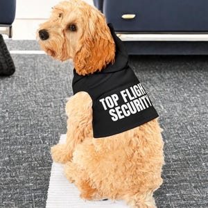 May include: A golden-colored dog wearing a black hoodie vest. The vest has the words "TOP FLIGHT SECURITY" printed in white. The dog is sitting on a light gray surface.