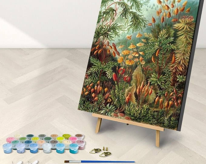 Paint by Number, Ernest Haeckel, Framed Paint by Numbers Kit for Adults with Stand, Muscinae, Sea Plants by Haeckel, Includes Everything!