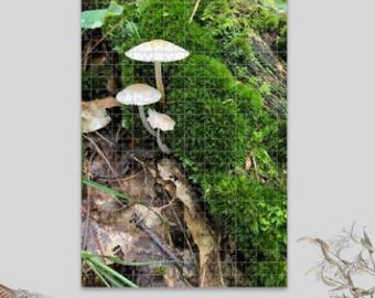 Woodland Mushroom Photo Puzzle: Nature Jigsaw, Oak Wood (500 or 1000 Pieces)