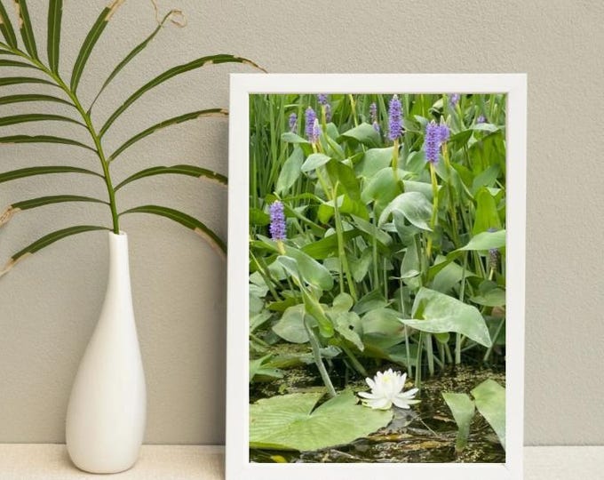 Fine Art Posters, Lily pads Serene Water Landscape, Nature Print Wall Art Home Decor, Botanical Poster Gift, Greenery Artwork, Modern