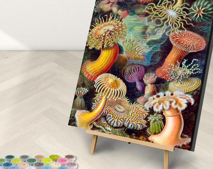 Ernest Haeckel Sea Creatures Paint by Number Kit - Framed or Frameless Canvas Art, Adult Craft Kit