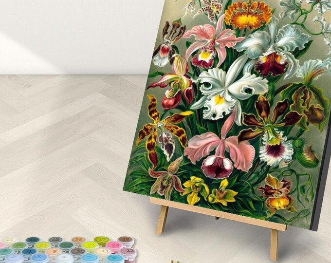 Orchidae by Haeckel Paint by Number Kit: Framed Canvas Art with Stand