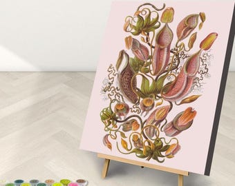 Ernest Haeckel: Tropical Pitcher Plants Paint by Number Kit (Framed Option)